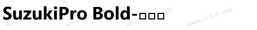 SuzukiPro Bold字体转换